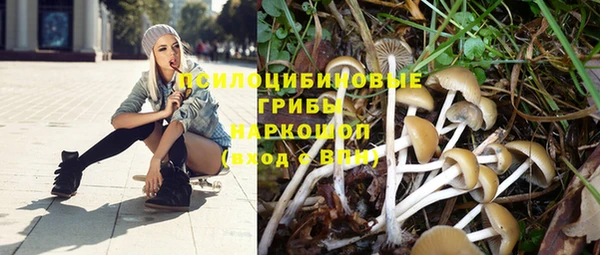 spice Алексин
