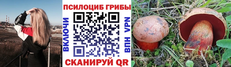нарко площадка официальный сайт  Чаплыгин  Галлюциногенные грибы ЛСД  даркнет сайт 