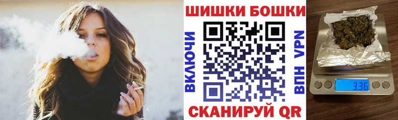 Канабис планчик  блэк спрут как войти  Чаплыгин 